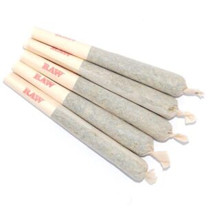 Buy 10 Gorilla Glue Pre-Rolled Joints in Bali