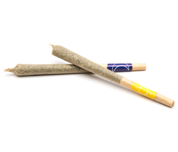 Buy 10 Pre-Rolled Joints In Bali