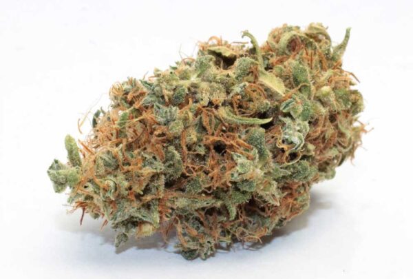 BUY BUBBLE GUM KUSH IN BALI