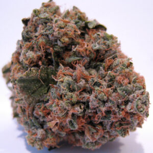 BUY GRAND DADDY PURPLE KUSH in BALI