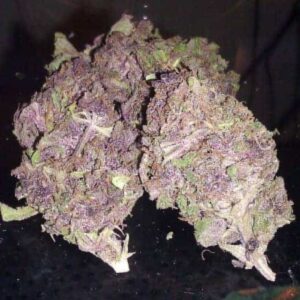 Buy Purple Haze in Bali